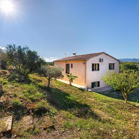 Villa Son Allarga Costitx  Exterior photo