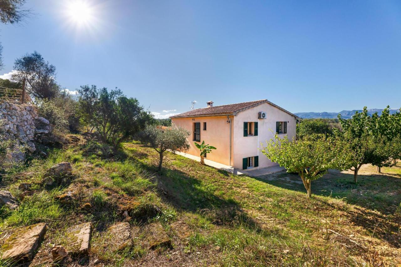 Villa Son Allarga Costitx  Exterior photo