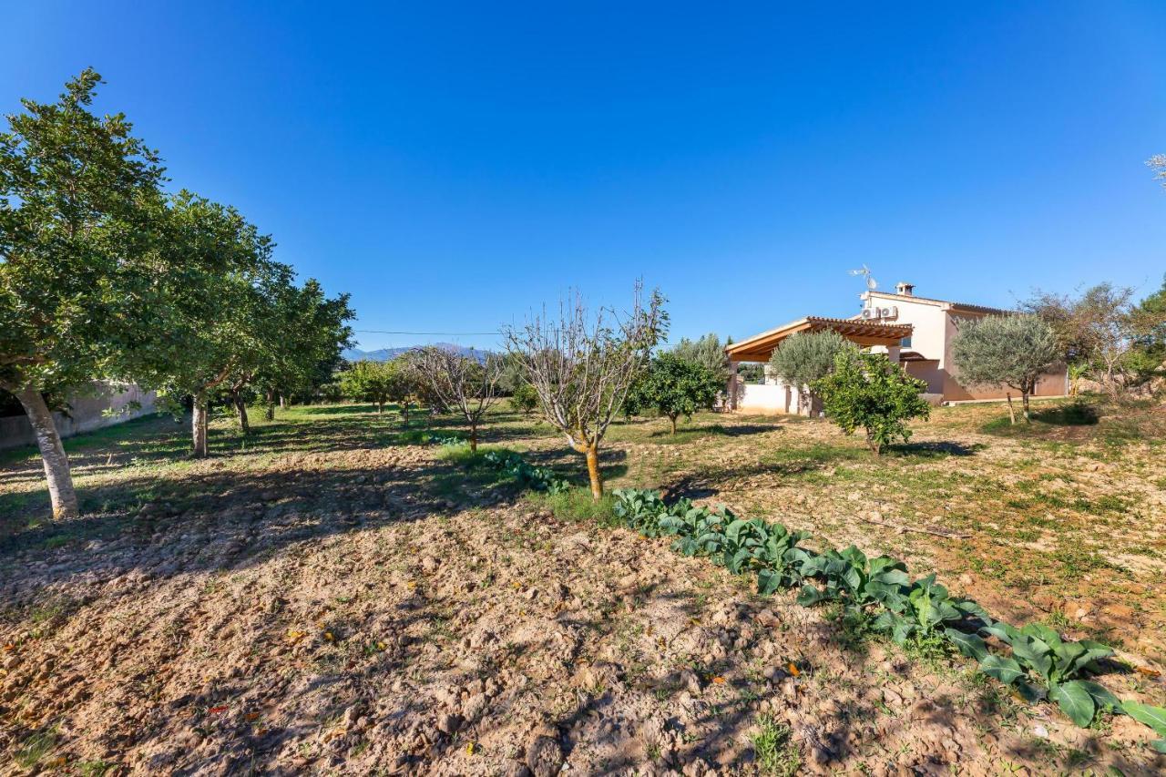 Villa Son Allarga Costitx  Exterior photo